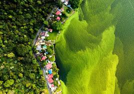 images-8